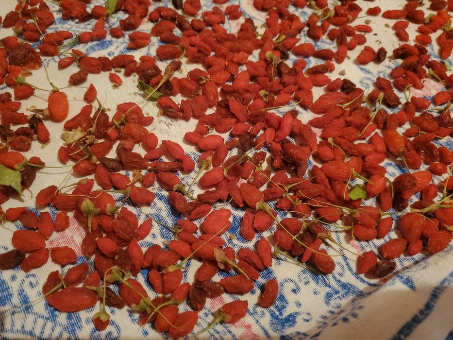 Годжи меваси.куритилган