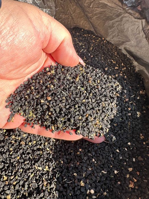 черно семе за арпаджик