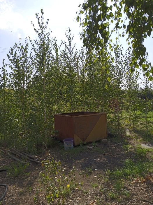 Дача сад Северный