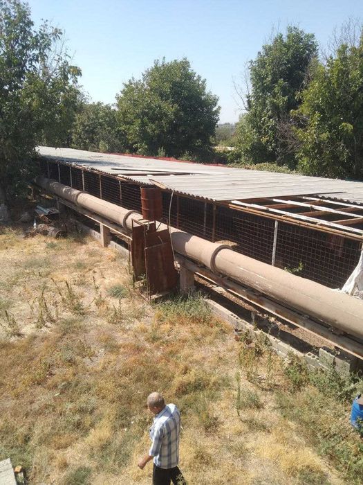 Ферма недалеко от Ташкента