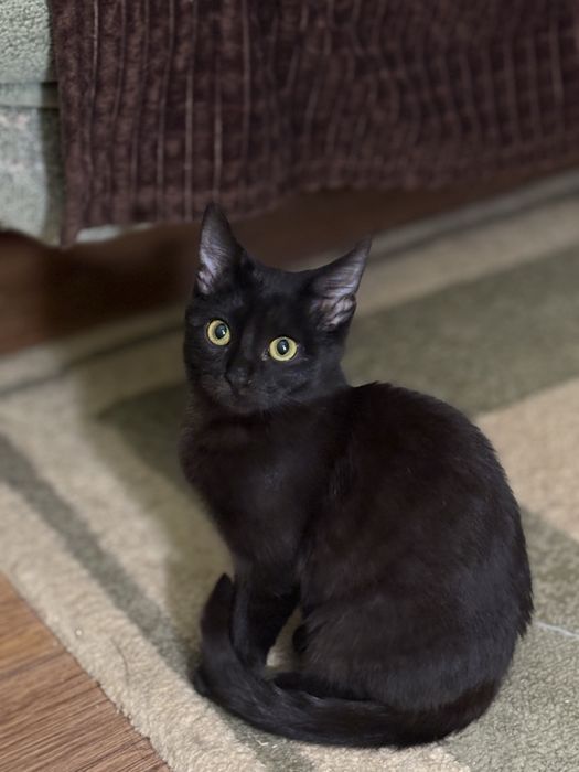 Мальчик 3-4 месяцев