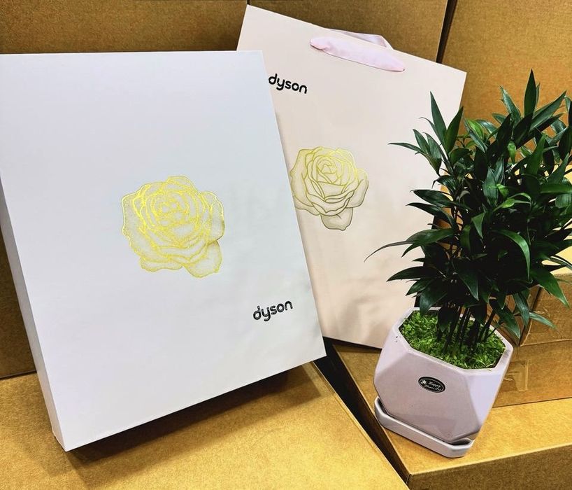 Dyson taro 7in1 nabori