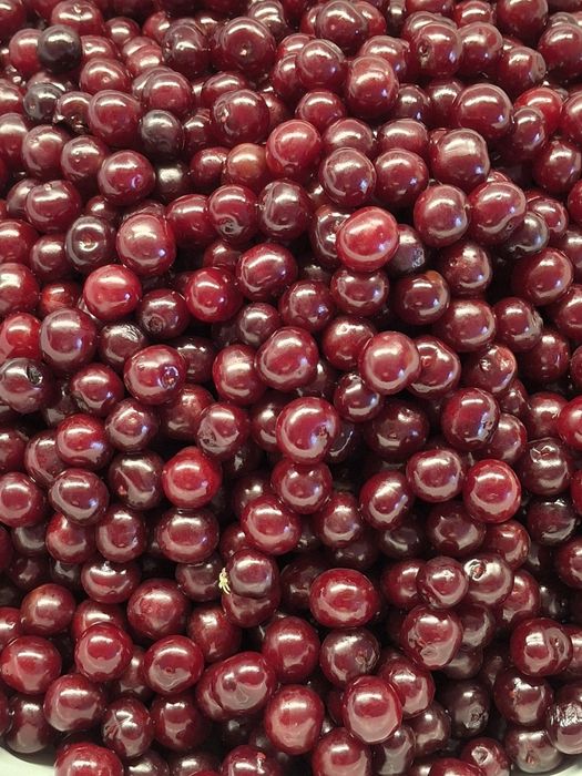 Продам саженцы вишни