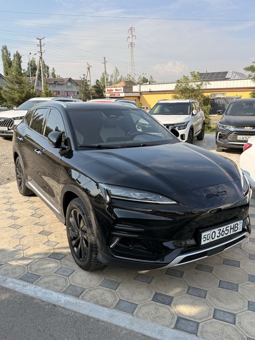 BYD champion 605 tali honir pozitsa kiraska tozza 84ming yurgan