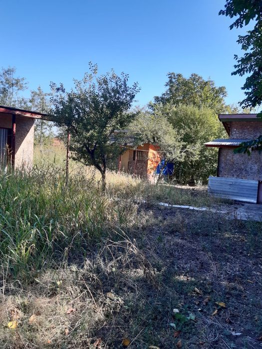 Vând teren Naipu( Ghimpați)