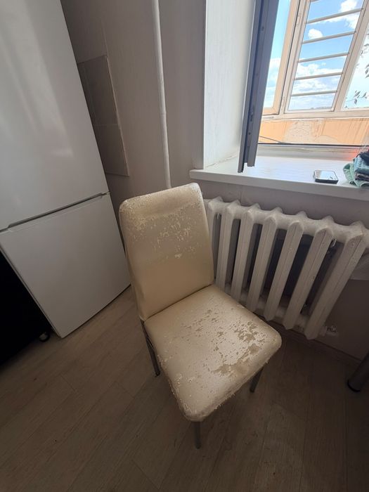 Отдам бесплатно находимся в городе Астана