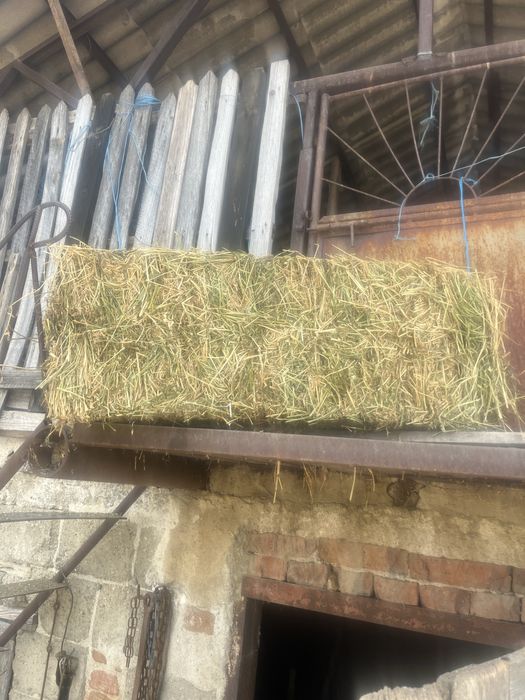 Baloți lucerna foarte buni.