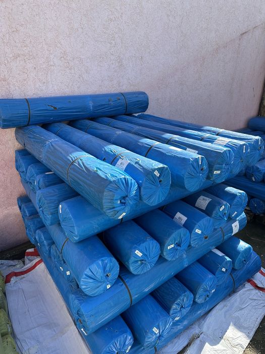 Арбузный клионка