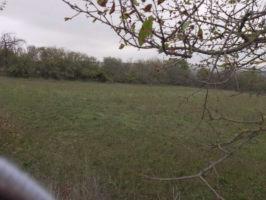 Продава се Парцел в с. Никола Козлево, Област Шумен - 1740 кв.м за 5 €/кв.м - Снимка #1