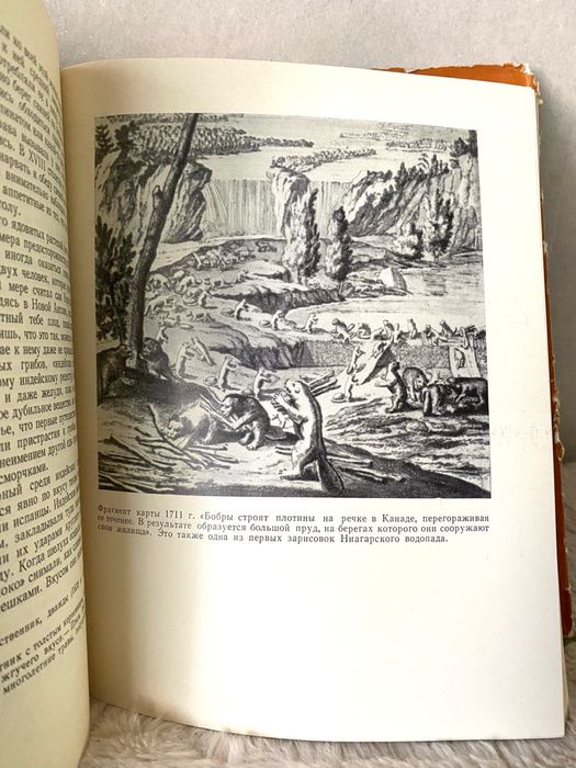 Америка глазами первооткрывателей