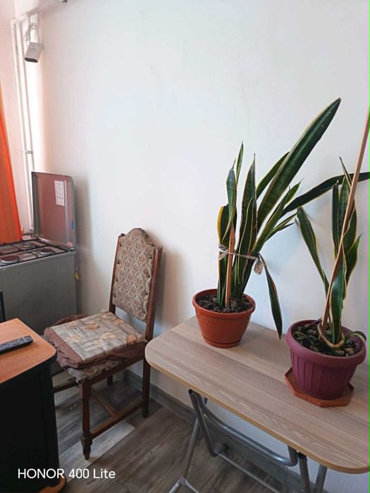 Garsoniera de vanzare Prundu Academica
