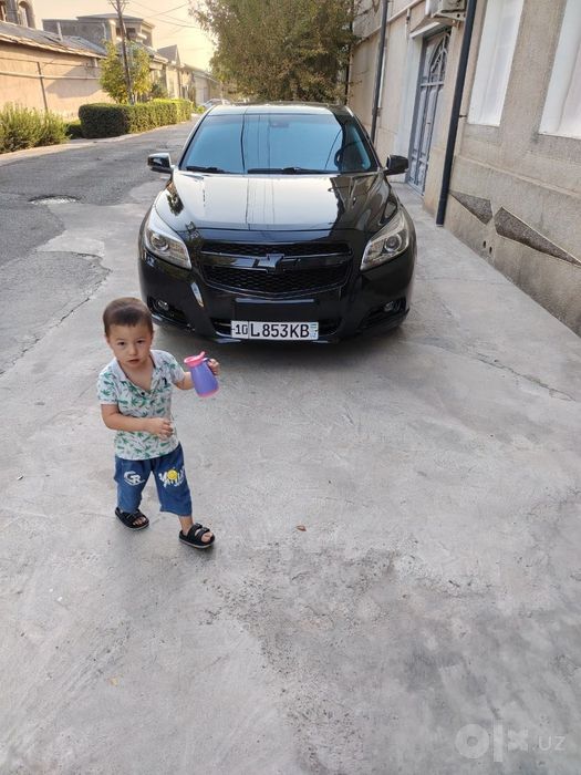 Malibu 1 yili 2013