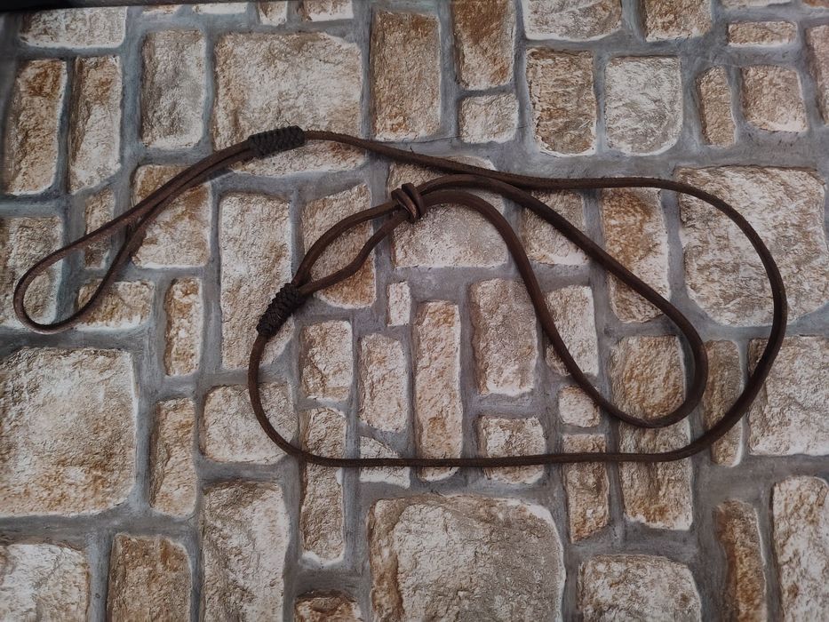 Lesa de prezentare câini piele