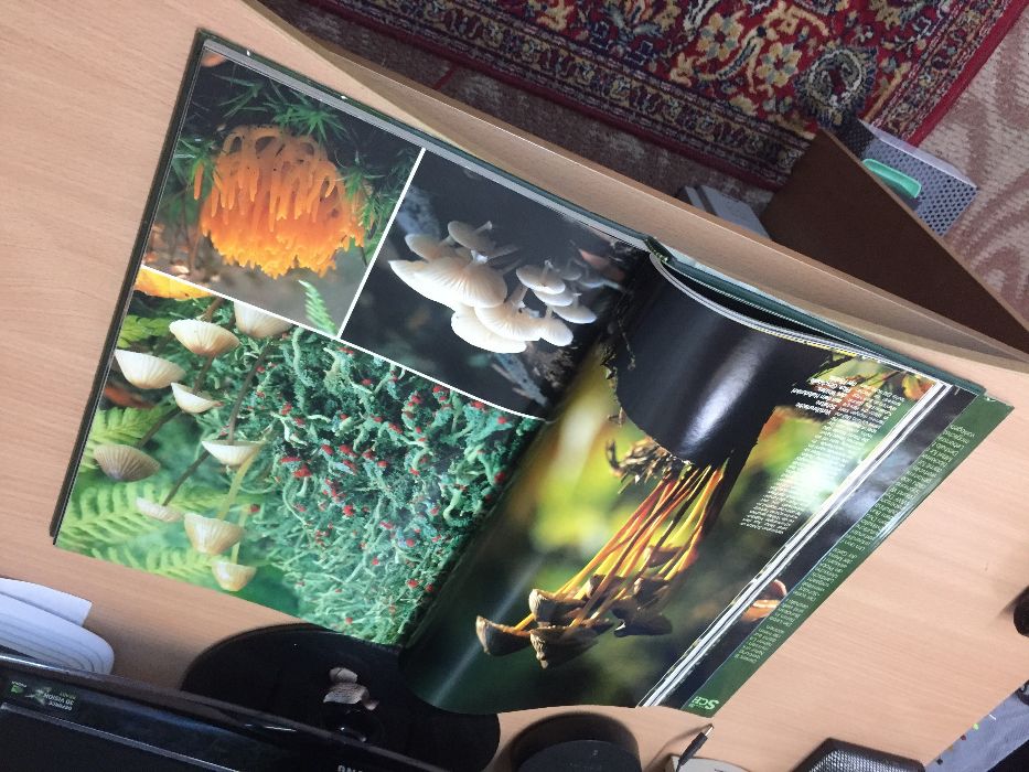 Уникална Немска Енциклопедия/ *1982г*