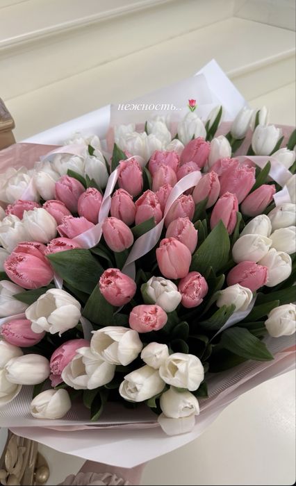 Тюльпаны оптом на 8 марта