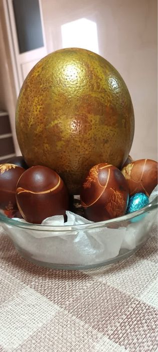 Oua strut pentru consum