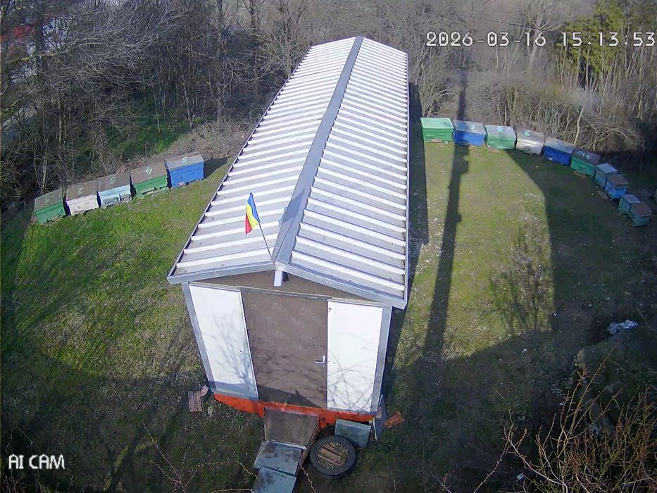 Vând familii de albine puternice,populate pe 6-9 rami .