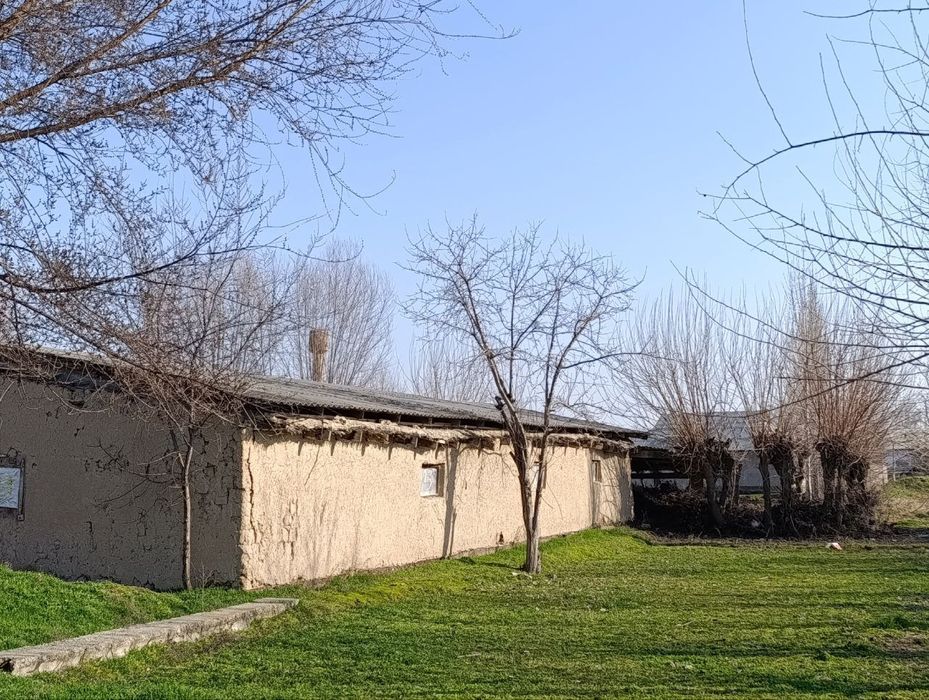 Molxona sotiladi - Sirdaryo viloyati Sayxunobod tumani