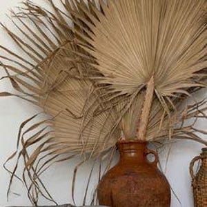 Продам пальмовые ветки для декора