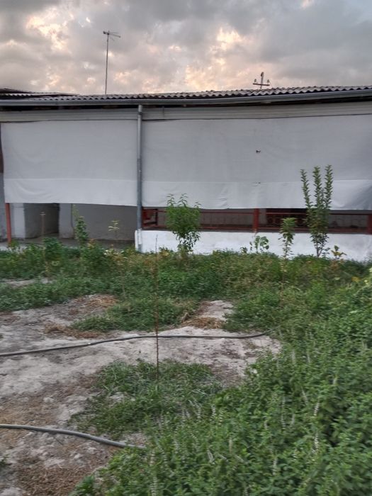 Участка прадайотся! Sergeli Doʻstlik 2. mahalla orqasidegi, hovli joy.