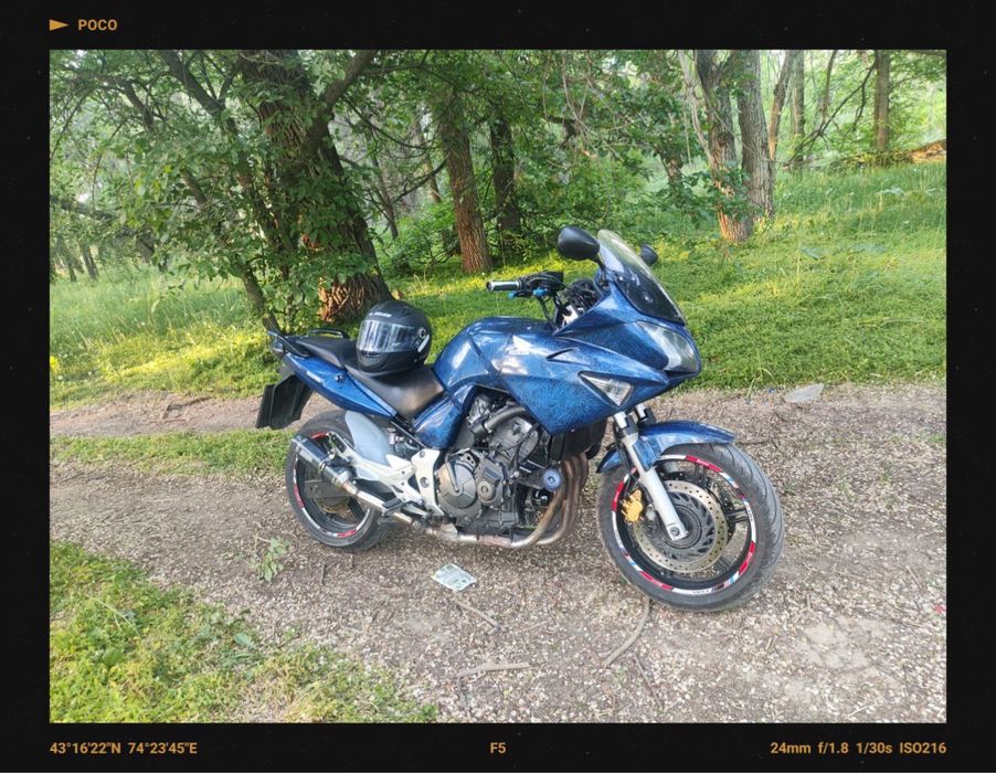 Honda sbf 2004 год