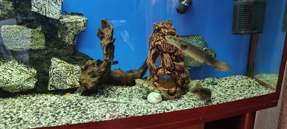 Продаю аквариум 200л