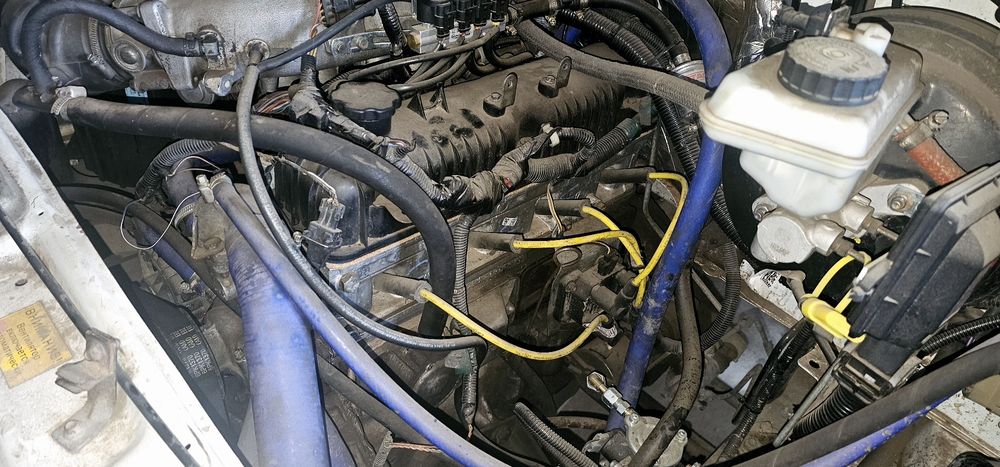 Газель бизнес фермер