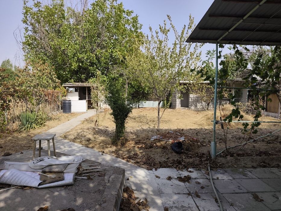 Дача! Таш.обл Горы  (Красногорск)