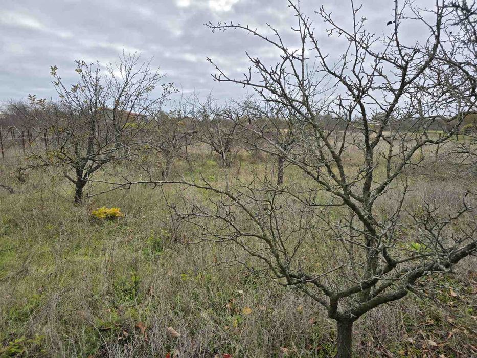 Продава се Парцел в Варна, Левски - 600 кв.м за 39 €/кв.м - Снимка #3