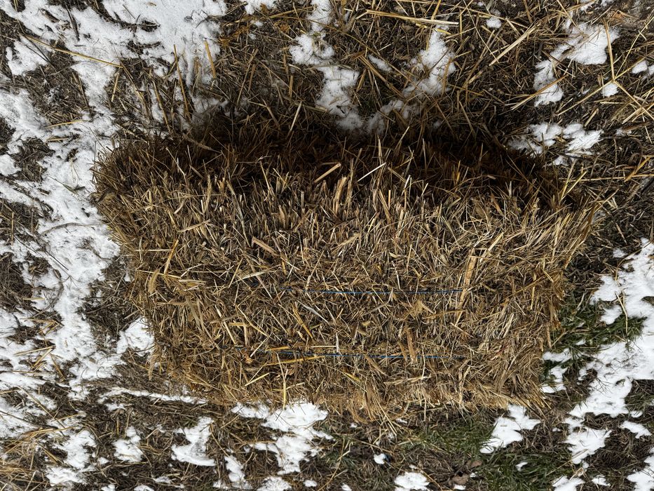 Baloti de lucerna si paie