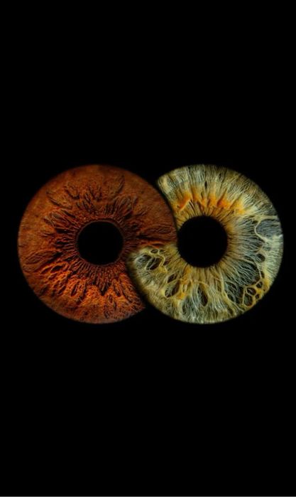 Фото радужки глаз