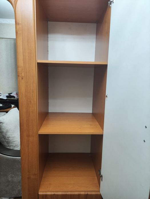 Шефонер беларусский