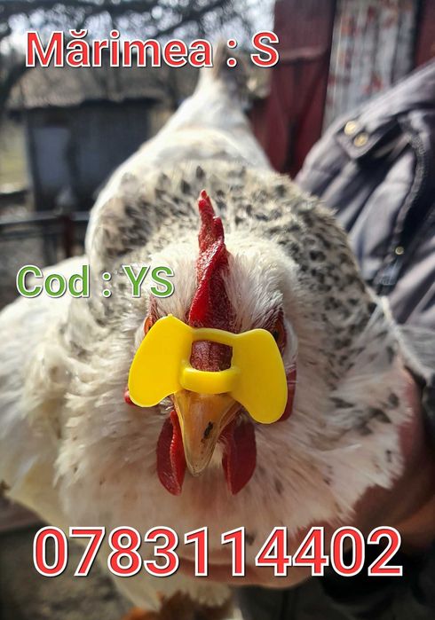 Pasari Fazani Pui Gaini Pauni Cocosi-OCHELARI-Fara Ac - YS