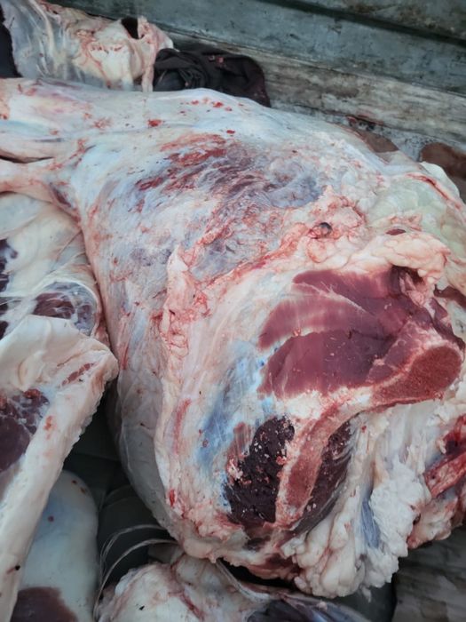 Говядина по частям