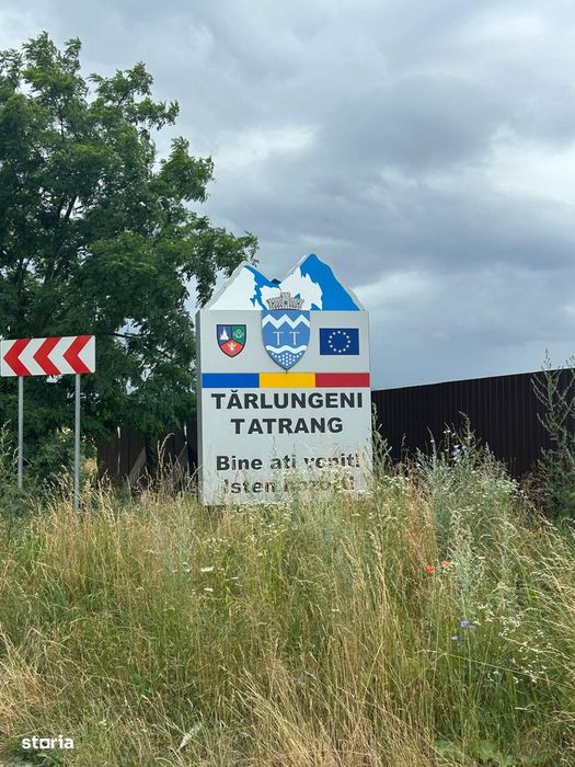 Teren 5.000 mp – Tărlungeni, zona Cărpiniș | Investiție cu potential!