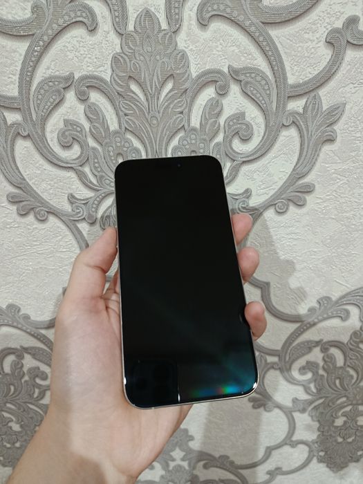 iPhone 15 pro max ideal