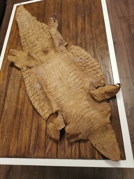 Обработена кожа 145 см.