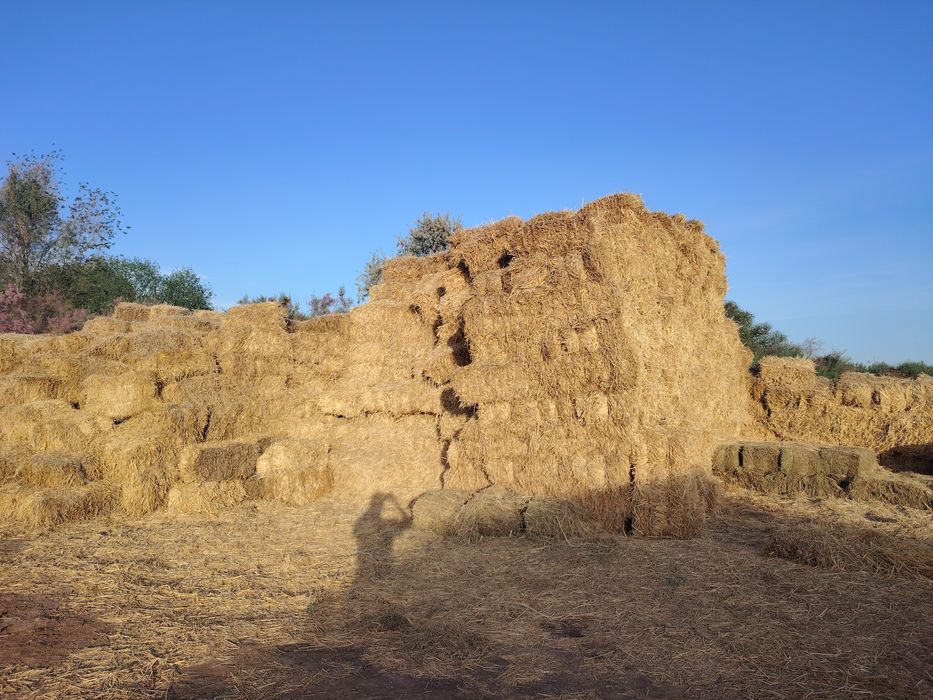 сабан прес уйдин тобесине