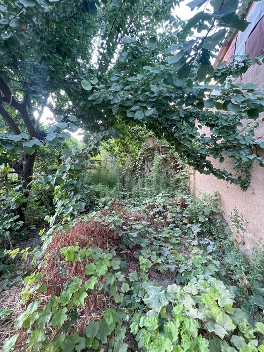 Хасанбой Ер Сотилади 6 сот Xasanboy Yer sotiladi Yangi Mahalla 6 sot