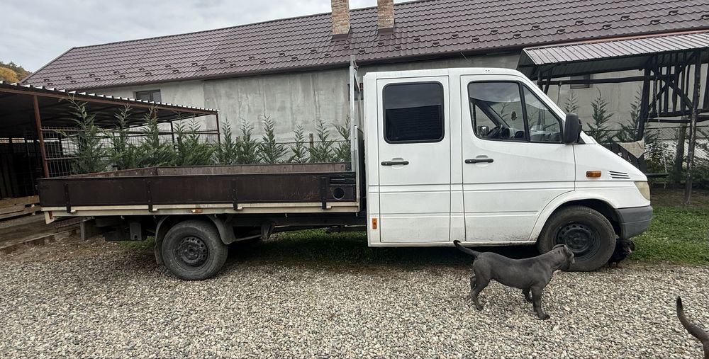 Sprinter 313 platforma