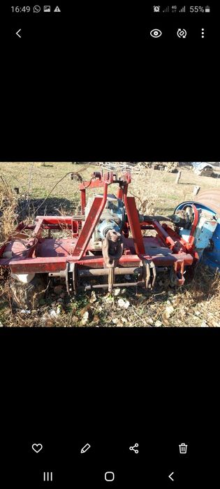 Фриза почварез..