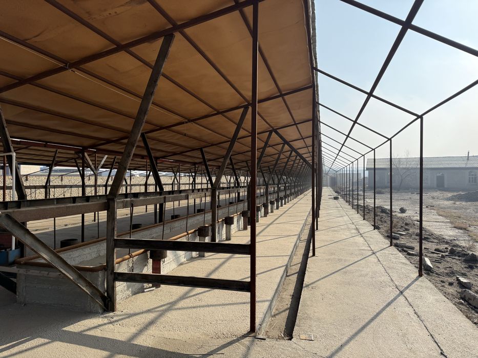 Срочно Сотилады  Ферма