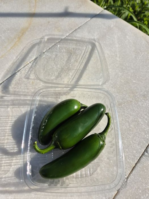 Ardei iute JALAPEGN̈O, Proaspăt, preț avantajos