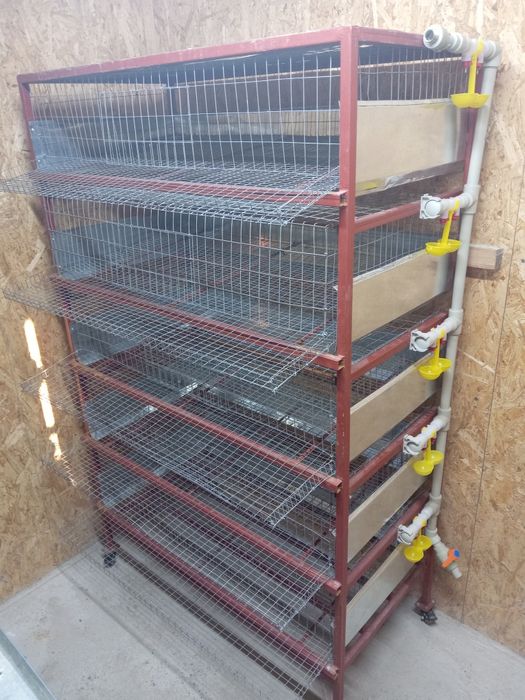 Клетки для перепелов и кур несушек