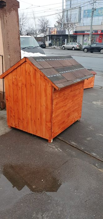 Cotete .Cusca caini,