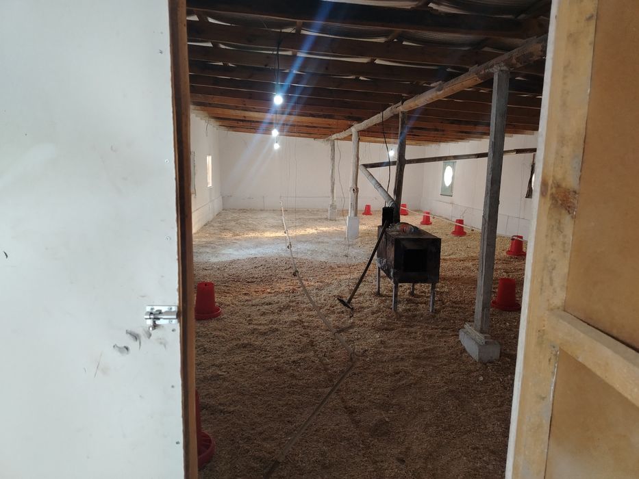 Таййор база безнеслари билан