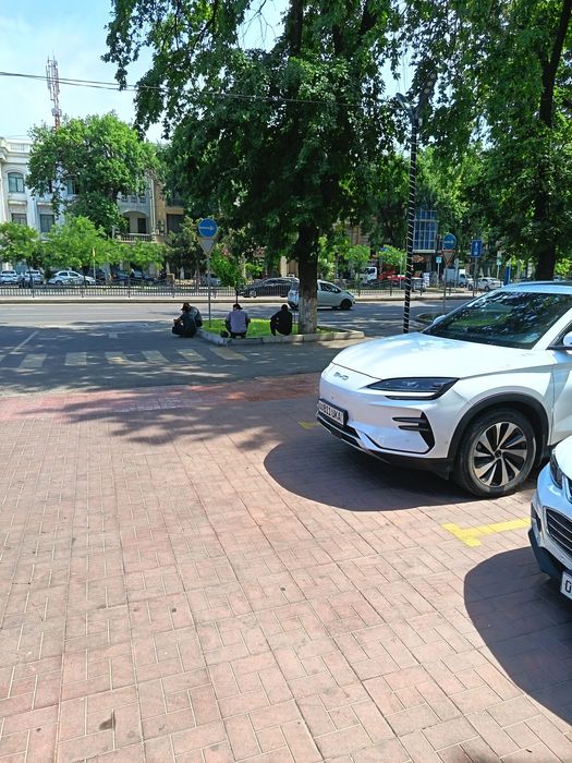 BYD Song Plus EV Champion 2023 — 2