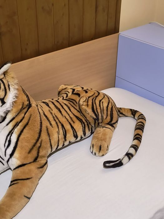 Голям плюшен тигър, размер на снимките 
Без забележки - 30евро 
Бу