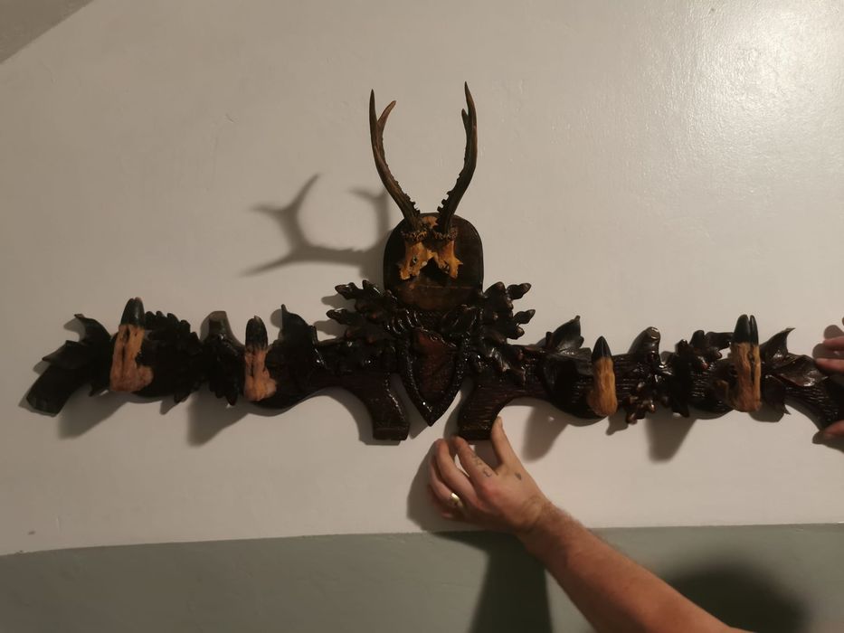 Vând trofee vânătorești!