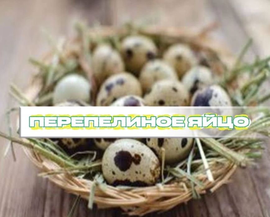 Яйцо перепелиное
